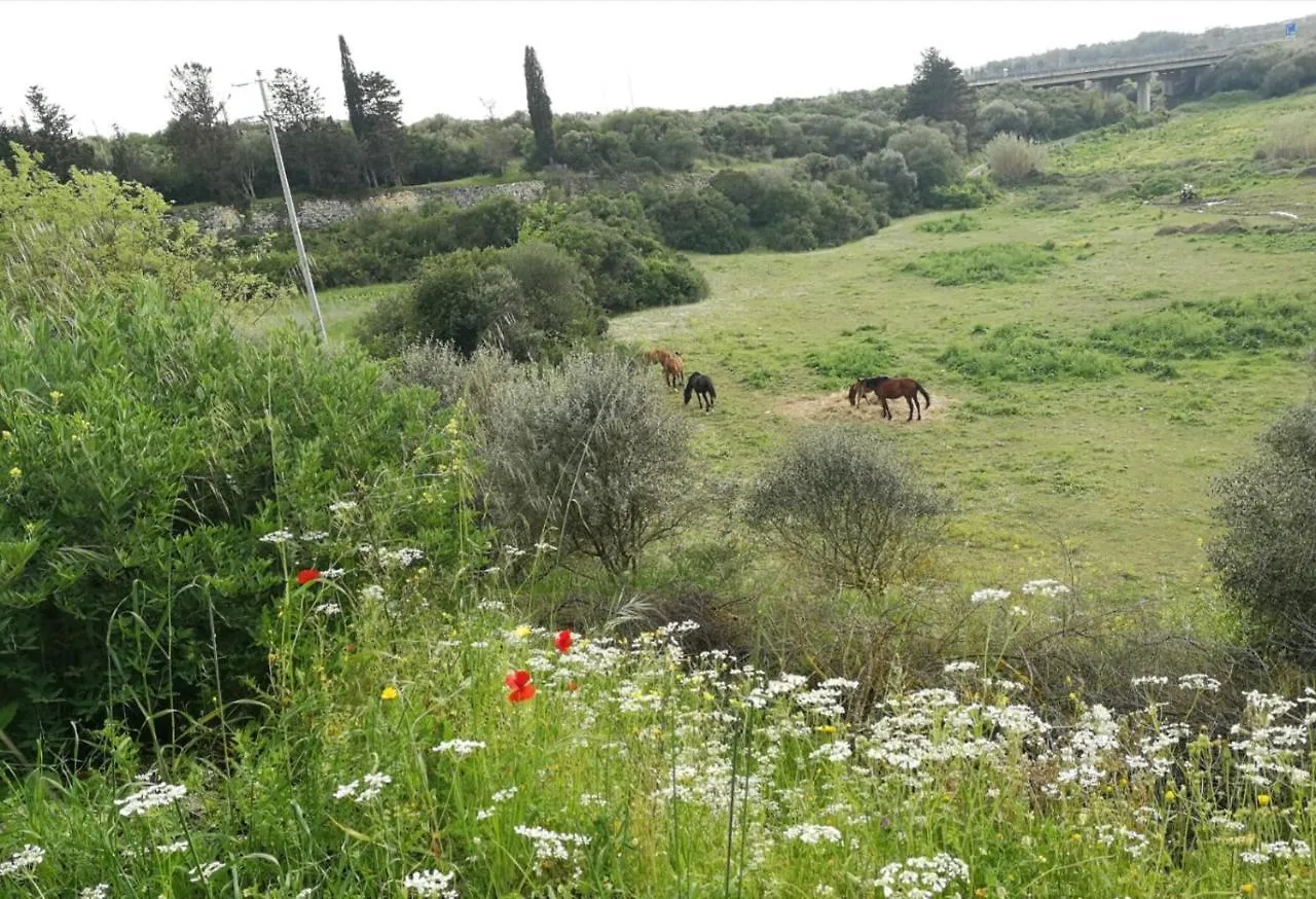 サッサリ Albero Della Musica Bed & Breakfast イタリア