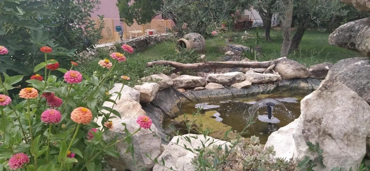 サッサリ Albero Della Musica Bed & Breakfast
