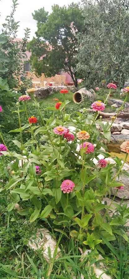 Albero Della Musica Bed & Breakfast Sassari