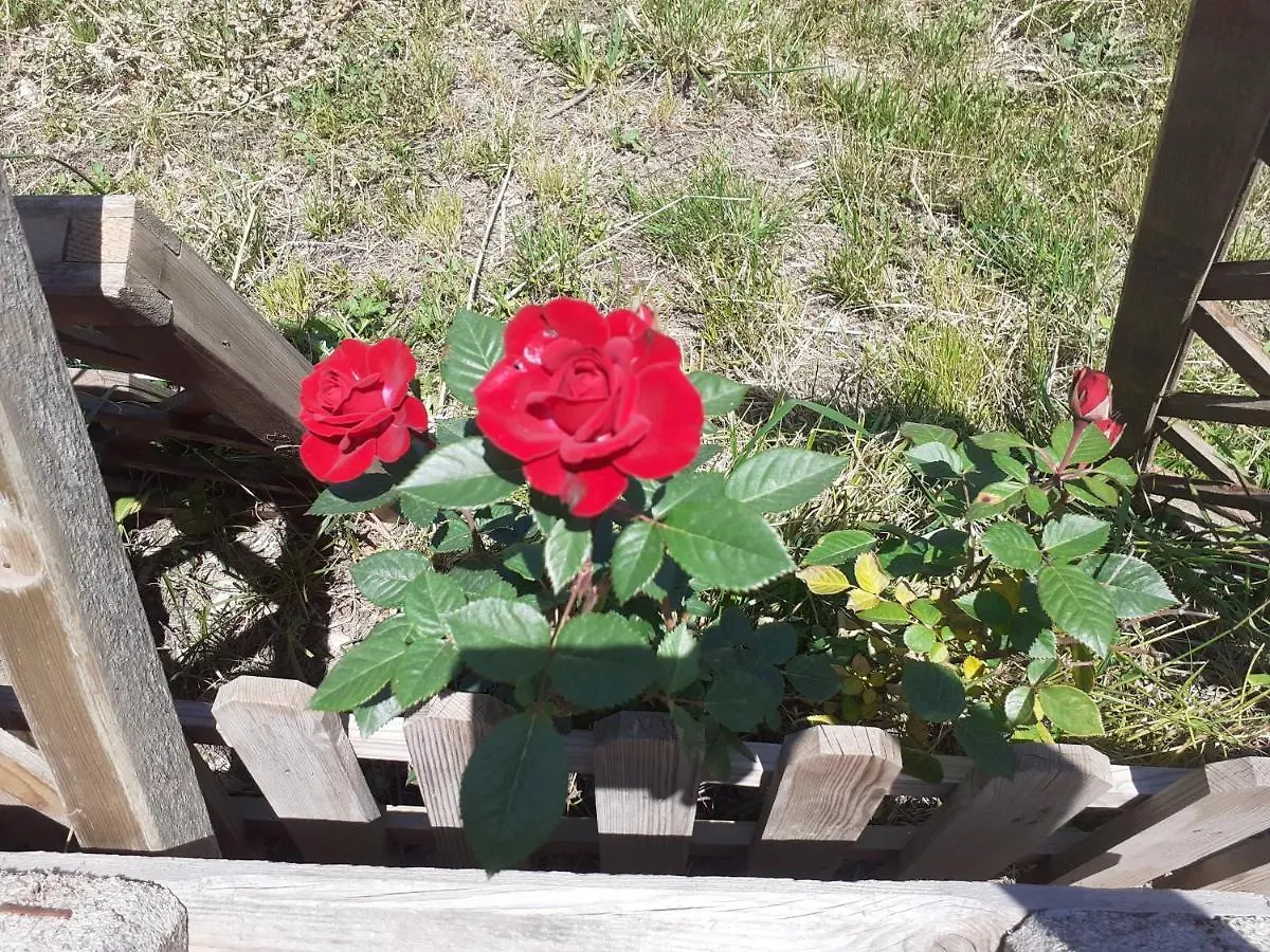 Albero Della Musica Bed & Breakfast Sassari 0*,  Italy