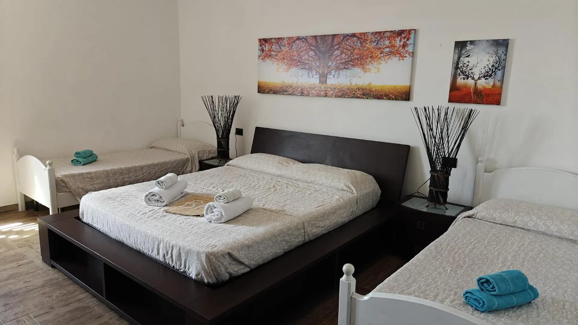 サッサリ Albero Della Musica Bed & Breakfast イタリア