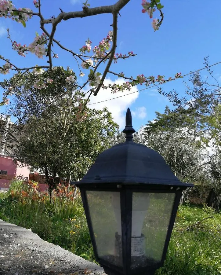 Bed and Breakfast Albero Della Musica à Sassari