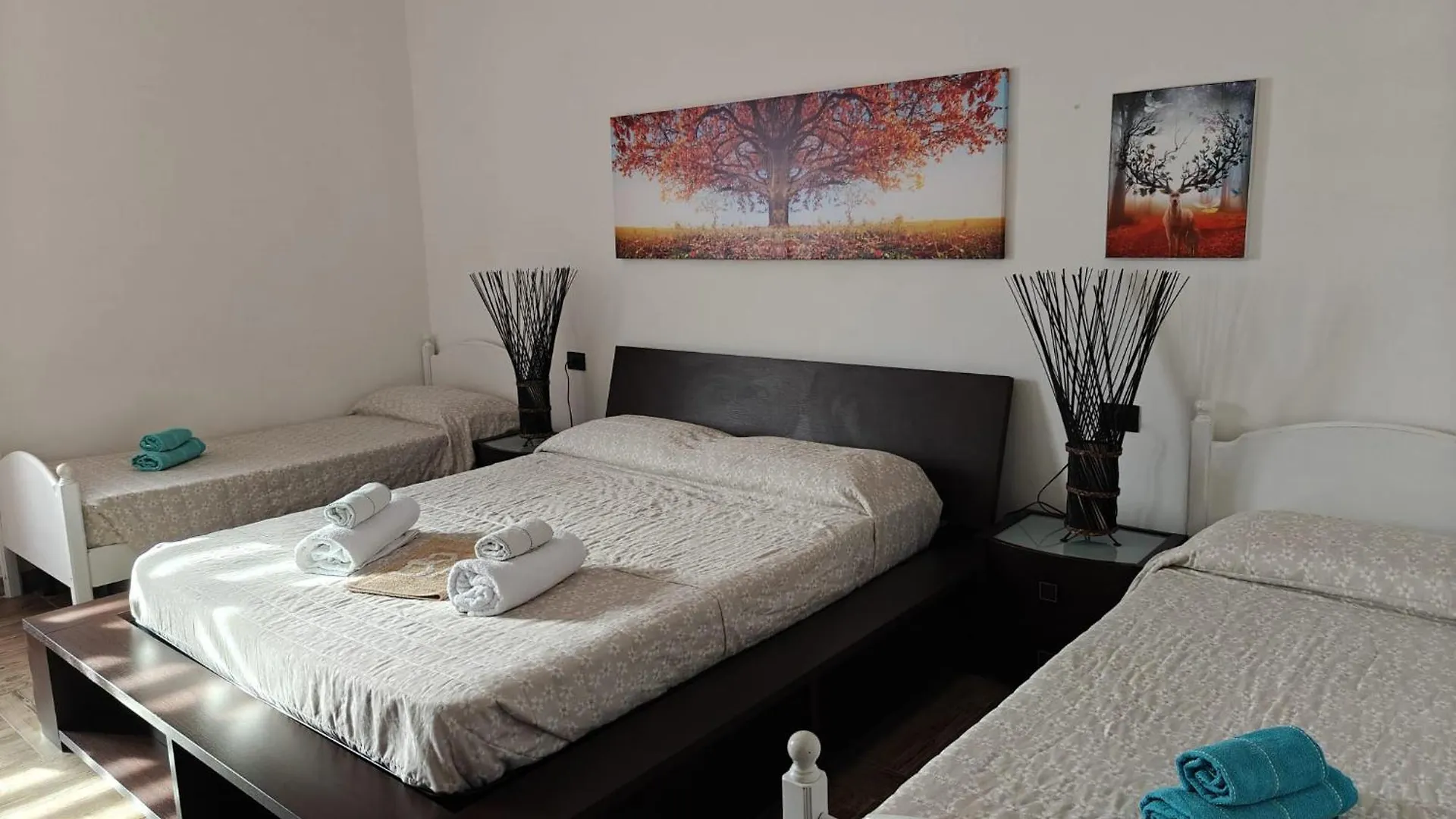 Bed and Breakfast Albero Della Musica à Sassari
